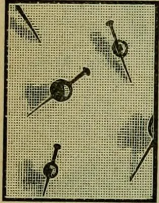 An illustration from Strawbridge & Clothier's quarterly, 1882, leaf 188
