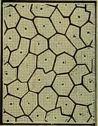 An illustration from Strawbridge & Clothier's quarterly, 1882, leaf 188
