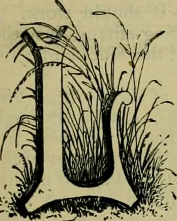 An illustration from Strawbridge & Clothier's quarterly, 1882, leaf 218