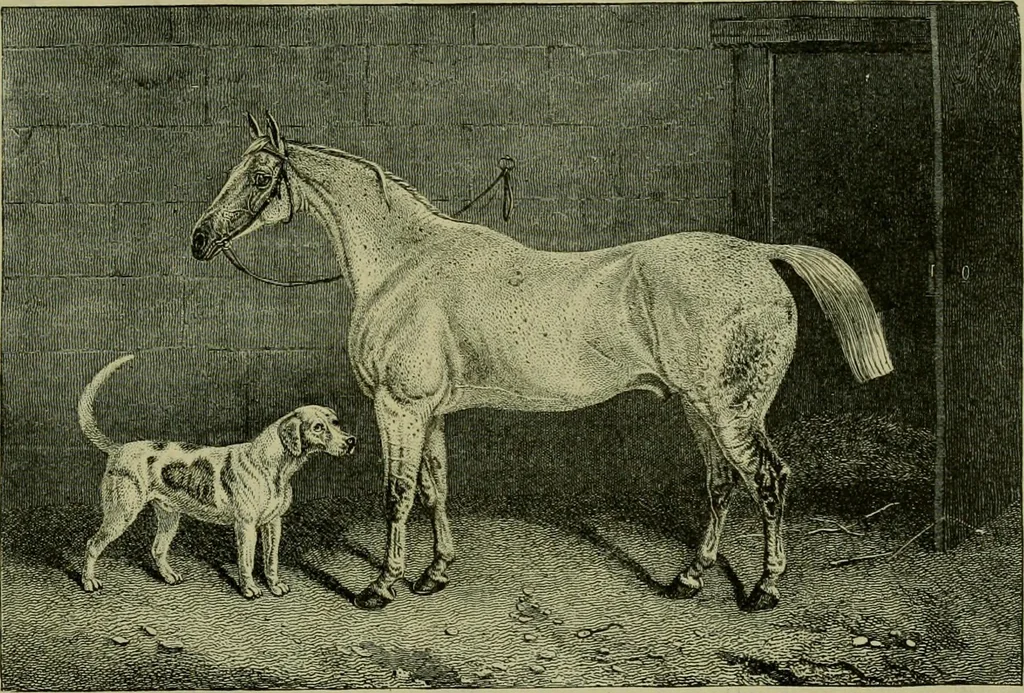 An illustration from Strawbridge & Clothier's quarterly, 1882, leaf 220