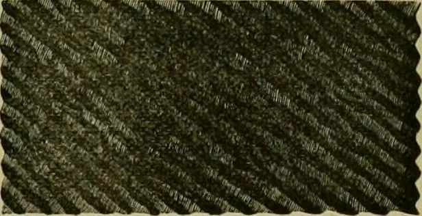An illustration from Strawbridge & Clothier's quarterly, 1882, leaf 240