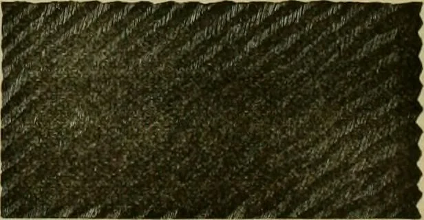An illustration from Strawbridge & Clothier's quarterly, 1882, leaf 240