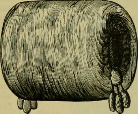An illustration from Strawbridge & Clothier's quarterly, 1882, leaf 242