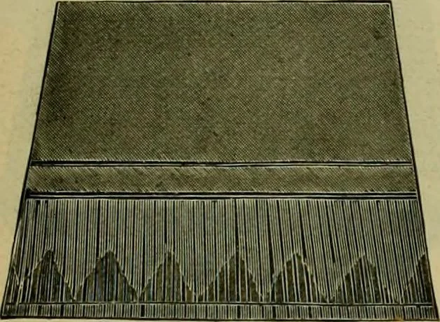An illustration from Strawbridge & Clothier's quarterly, 1882, leaf 244