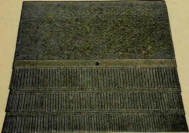 An illustration from Strawbridge & Clothier's quarterly, 1882, leaf 244