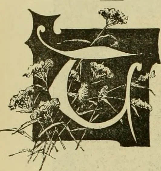 An illustration from Strawbridge & Clothier's quarterly, 1882, leaf 25