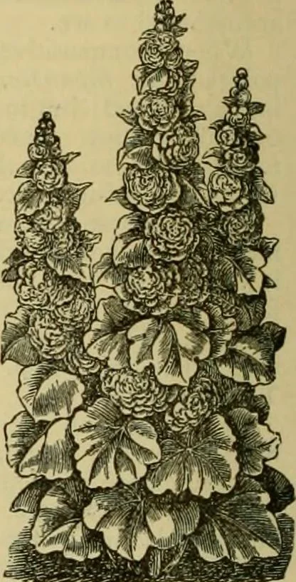 An illustration from Strawbridge & Clothier's quarterly, 1882, leaf 25