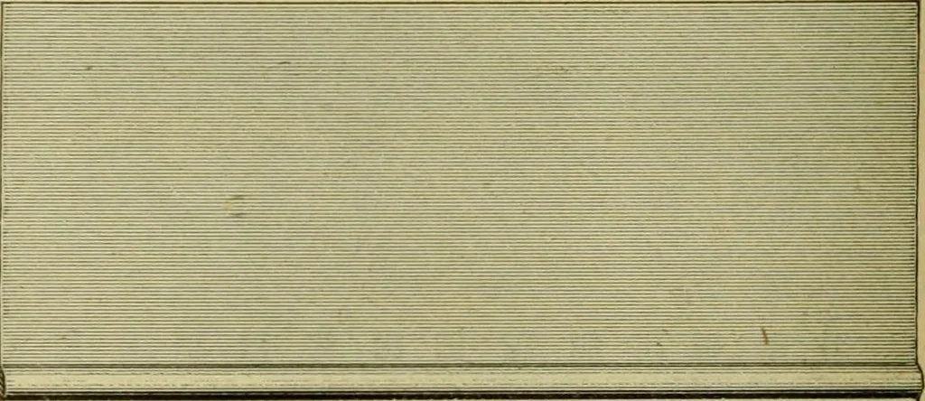 An illustration from Strawbridge & Clothier's quarterly, 1882, leaf 253