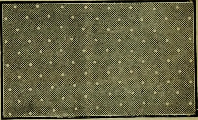 An illustration from Strawbridge & Clothier's quarterly, 1882, leaf 262