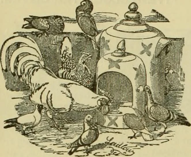 An illustration from Strawbridge & Clothier's quarterly, 1882, leaf 27