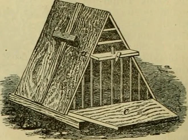 An illustration from Strawbridge & Clothier's quarterly, 1882, leaf 27