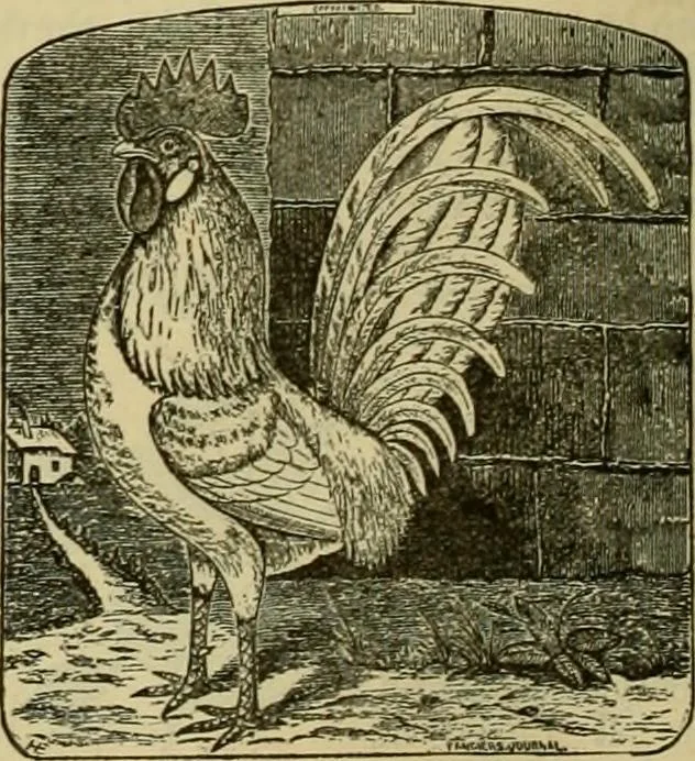 An illustration from Strawbridge & Clothier's quarterly, 1882, leaf 27