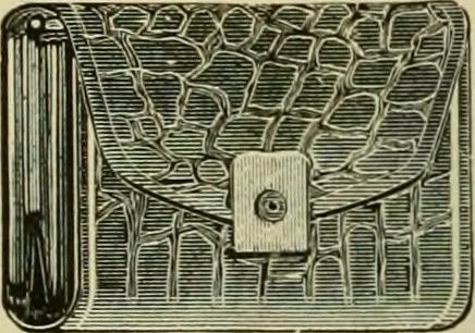 An illustration from Strawbridge & Clothier's quarterly, 1882, leaf 277