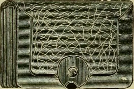 An illustration from Strawbridge & Clothier's quarterly, 1882, leaf 277