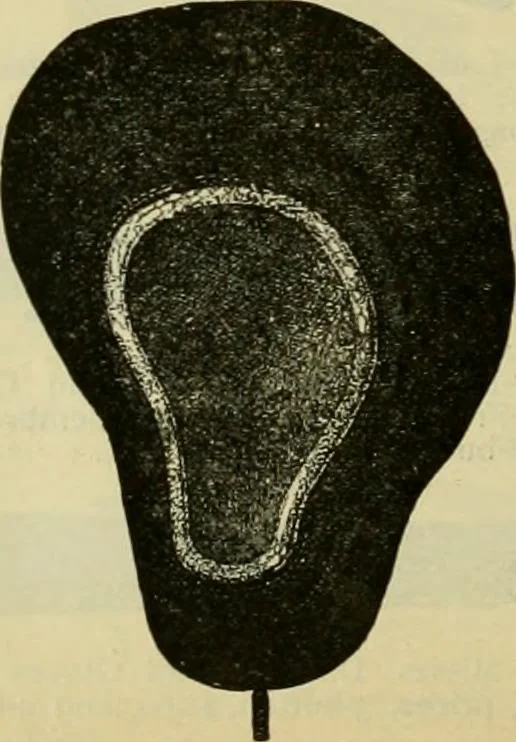 An illustration from Strawbridge & Clothier's quarterly, 1882, leaf 283