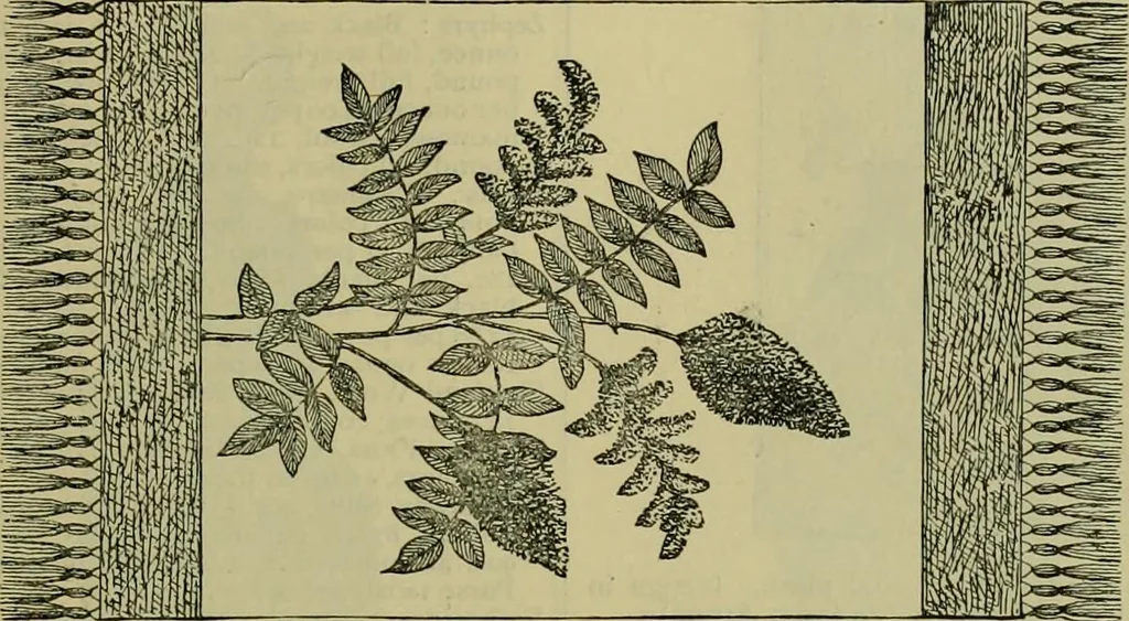 An illustration from Strawbridge & Clothier's quarterly, 1882, leaf 300