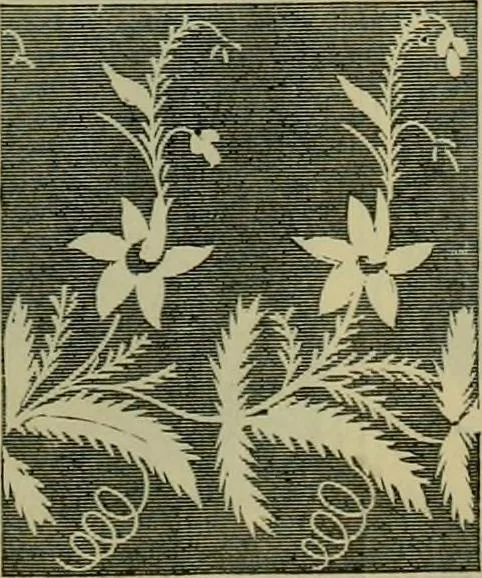 An illustration from Strawbridge & Clothier's quarterly, 1882, leaf 306