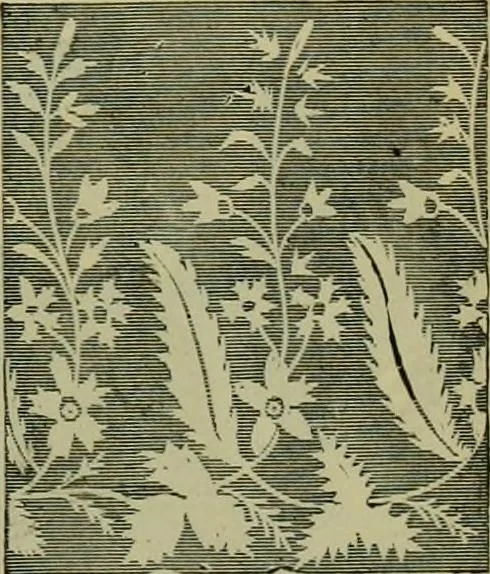 An illustration from Strawbridge & Clothier's quarterly, 1882, leaf 306