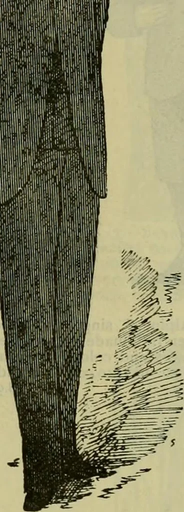 An illustration from Strawbridge & Clothier's quarterly, 1882, leaf 308