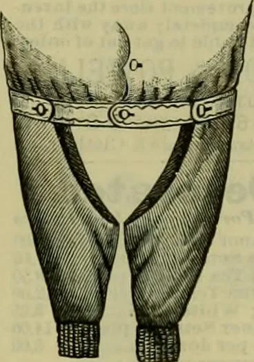 An illustration from Strawbridge & Clothier's quarterly, 1882, leaf 316