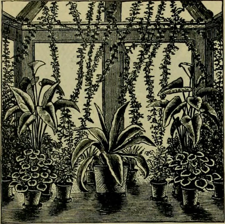 An illustration from Strawbridge & Clothier's quarterly, 1882, leaf 330