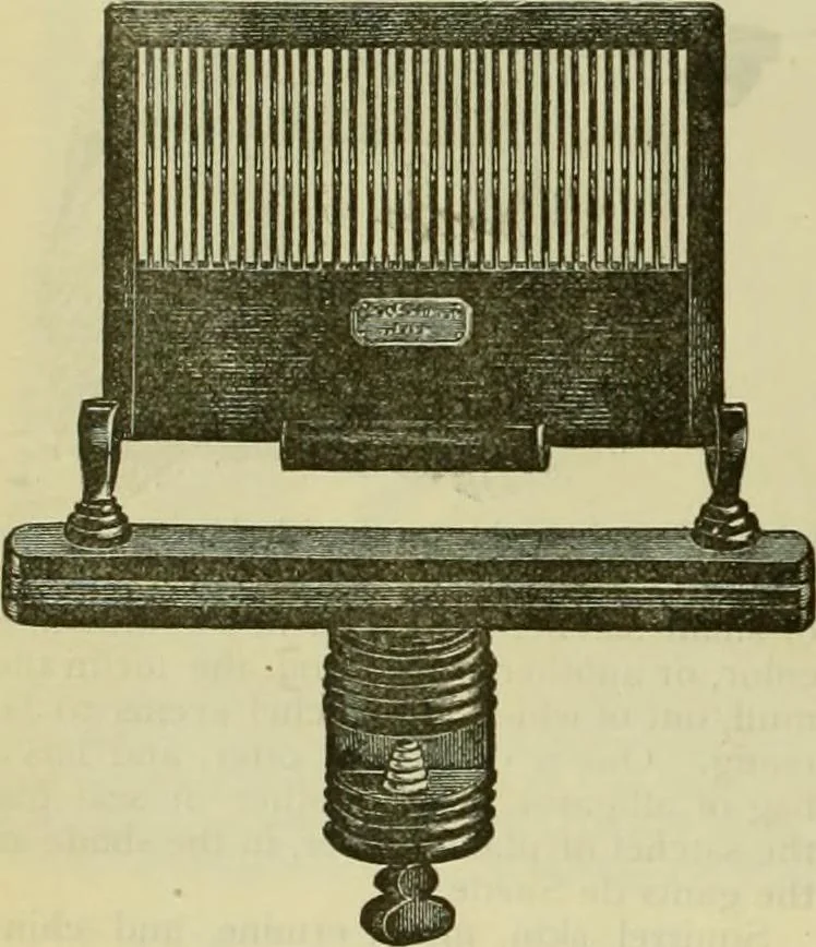 An illustration from Strawbridge & Clothier's quarterly, 1882, leaf 341