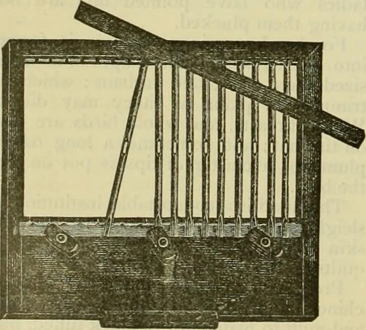 An illustration from Strawbridge & Clothier's quarterly, 1882, leaf 341
