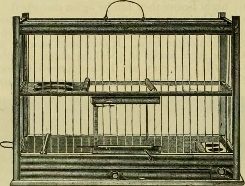 An illustration from Strawbridge & Clothier's quarterly, 1882, leaf 347
