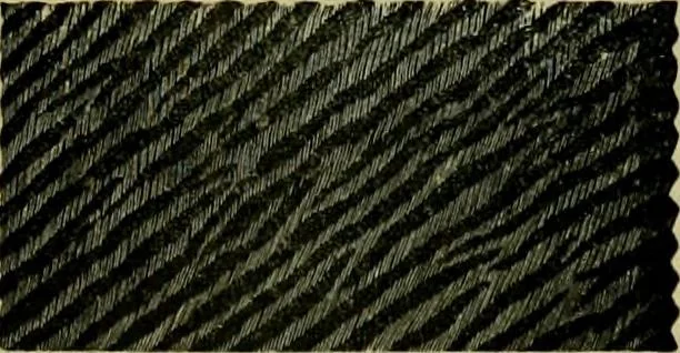 An illustration from Strawbridge & Clothier's quarterly, 1882, leaf 358
