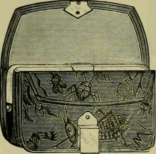 An illustration from Strawbridge & Clothier's quarterly, 1882, leaf 366