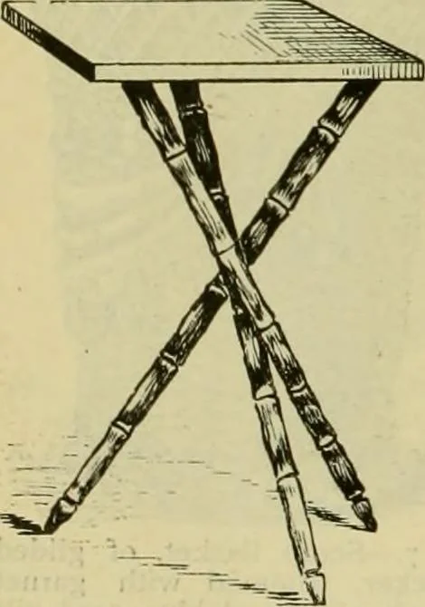 An illustration from Strawbridge & Clothier's quarterly, 1882, leaf 393