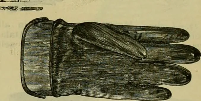 An illustration from Strawbridge & Clothier's quarterly, 1882, leaf 424
