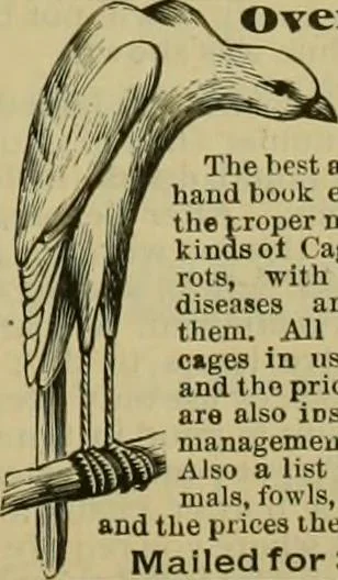 An illustration from Strawbridge & Clothier's quarterly, 1882, leaf 432