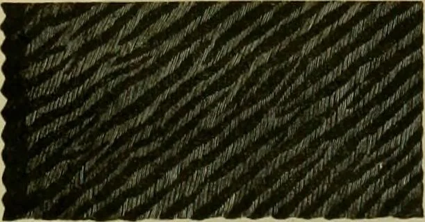 An illustration from Strawbridge & Clothier's quarterly, 1882, leaf 44