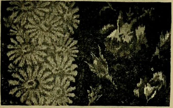 An illustration from Strawbridge & Clothier's quarterly, 1882, leaf 46