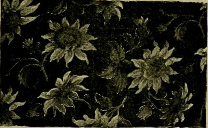An illustration from Strawbridge & Clothier's quarterly, 1882, leaf 46