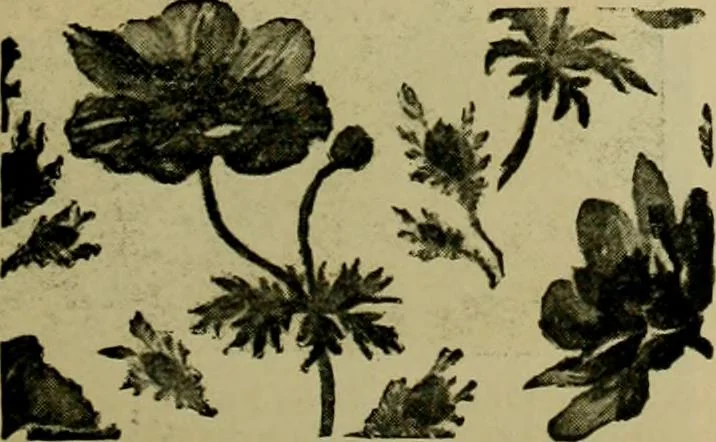 An illustration from Strawbridge & Clothier's quarterly, 1882, leaf 46