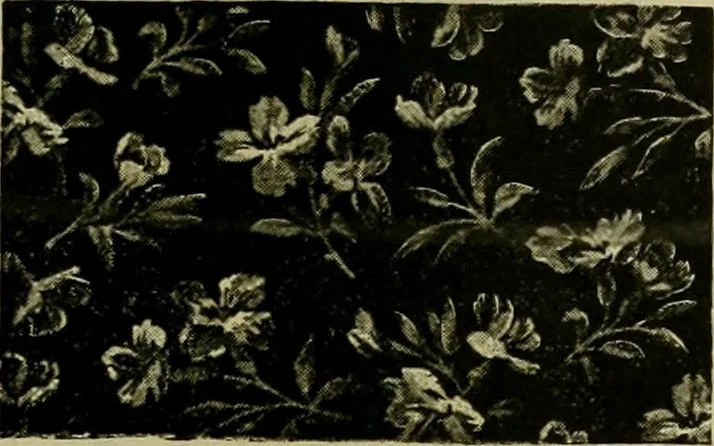 An illustration from Strawbridge & Clothier's quarterly, 1882, leaf 46