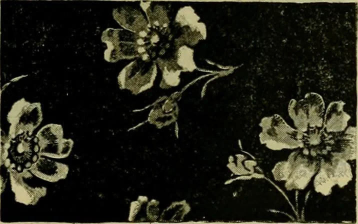 An illustration from Strawbridge & Clothier's quarterly, 1882, leaf 46