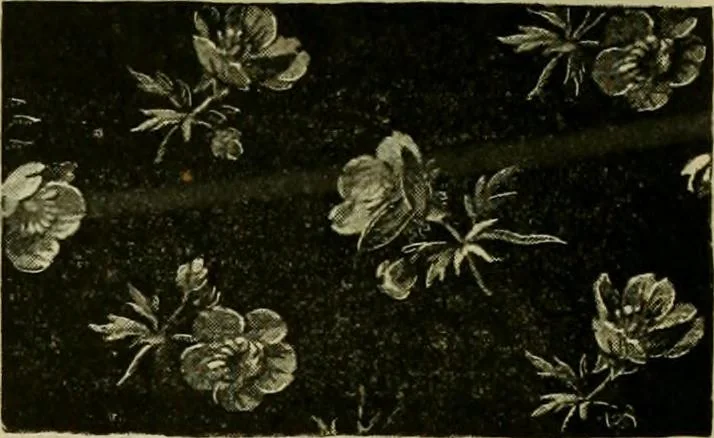 An illustration from Strawbridge & Clothier's quarterly, 1882, leaf 46