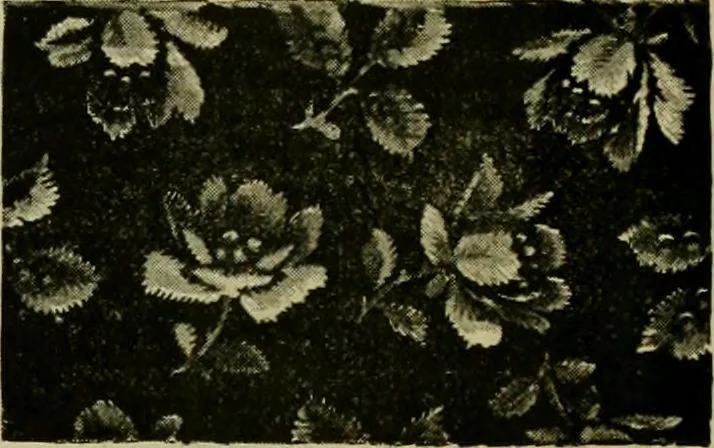 An illustration from Strawbridge & Clothier's quarterly, 1882, leaf 46