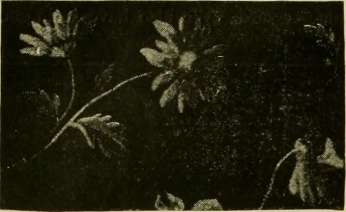 An illustration from Strawbridge & Clothier's quarterly, 1882, leaf 47