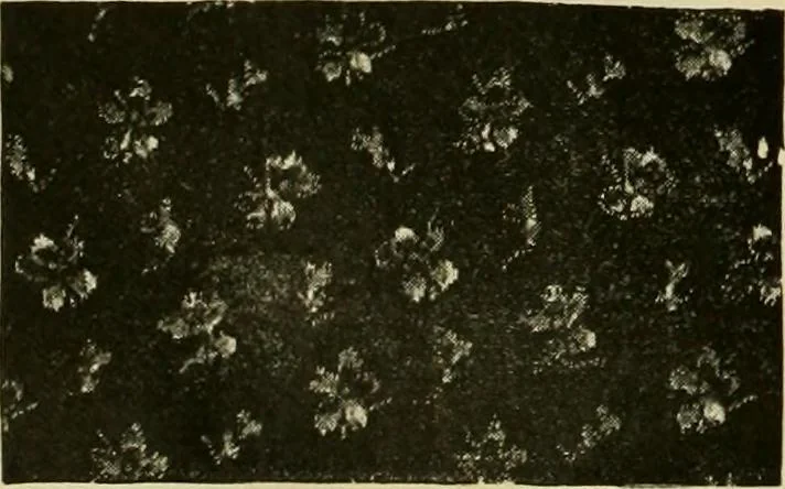 An illustration from Strawbridge & Clothier's quarterly, 1882, leaf 47