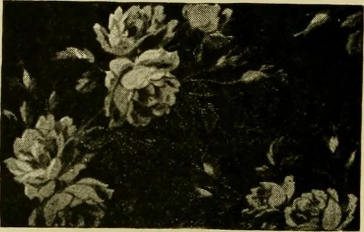 An illustration from Strawbridge & Clothier's quarterly, 1882, leaf 47