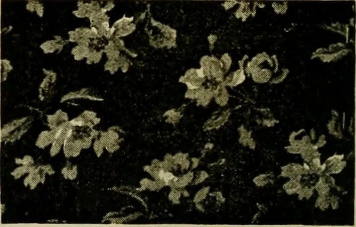 An illustration from Strawbridge & Clothier's quarterly, 1882, leaf 47