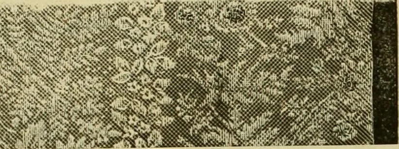 An illustration from Strawbridge & Clothier's quarterly, 1882, leaf 55