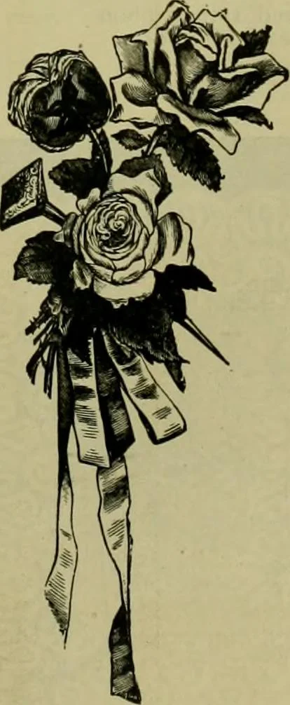 An illustration from Strawbridge & Clothier's quarterly, 1882, leaf 56