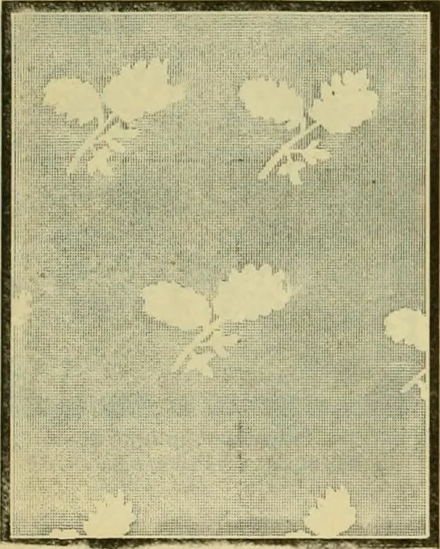 An illustration from Strawbridge & Clothier's quarterly, 1882, leaf 59