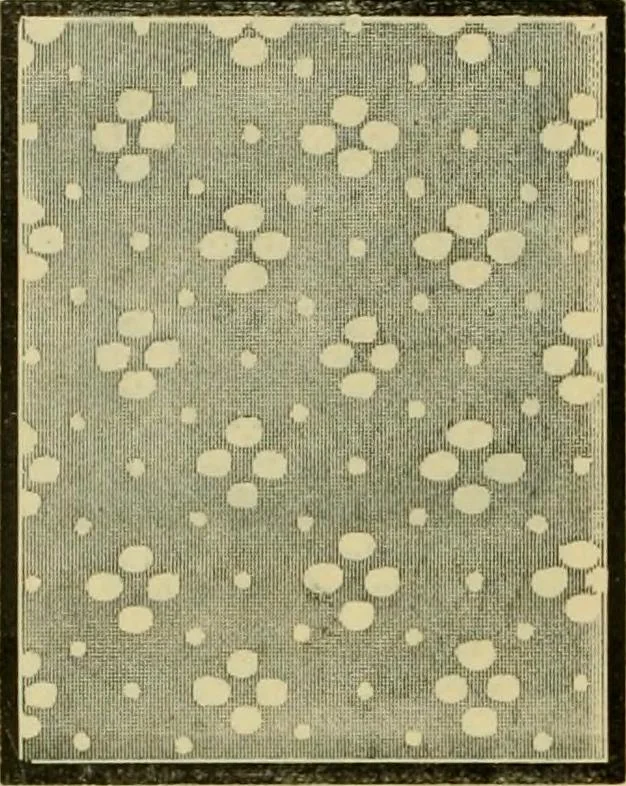 An illustration from Strawbridge & Clothier's quarterly, 1882, leaf 59