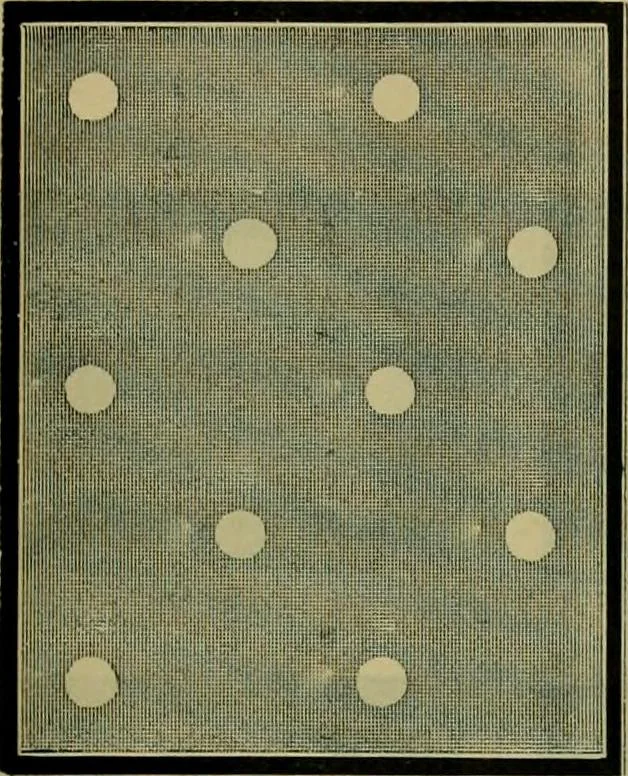 An illustration from Strawbridge & Clothier's quarterly, 1882, leaf 60